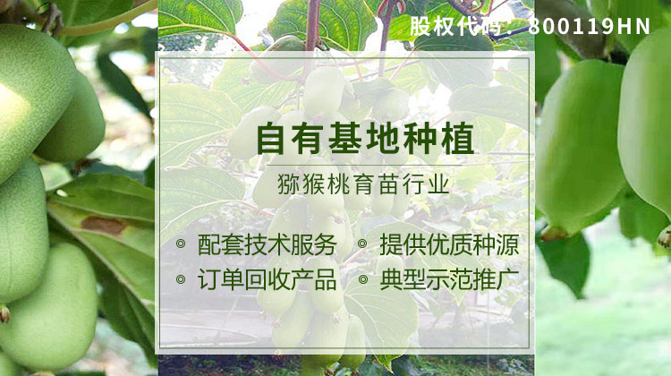 美味佳彥產(chǎn)業(yè)鏈優(yōu)勢(shì)