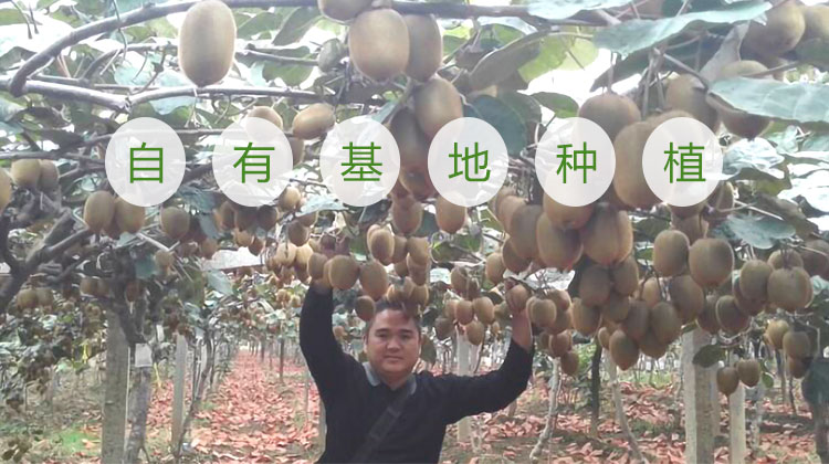 美味佳瑤